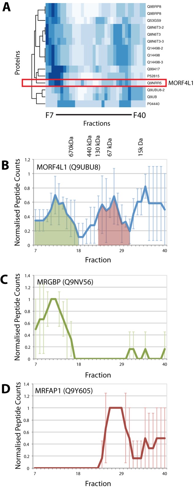 Fig. 8.