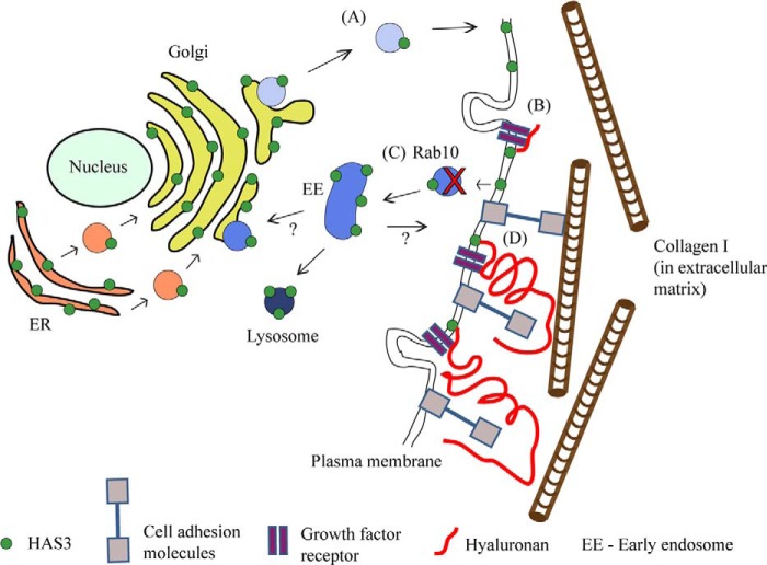 FIGURE 11.