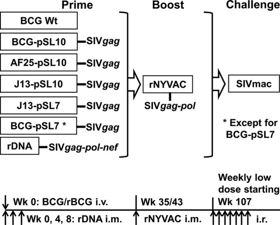 FIG 1