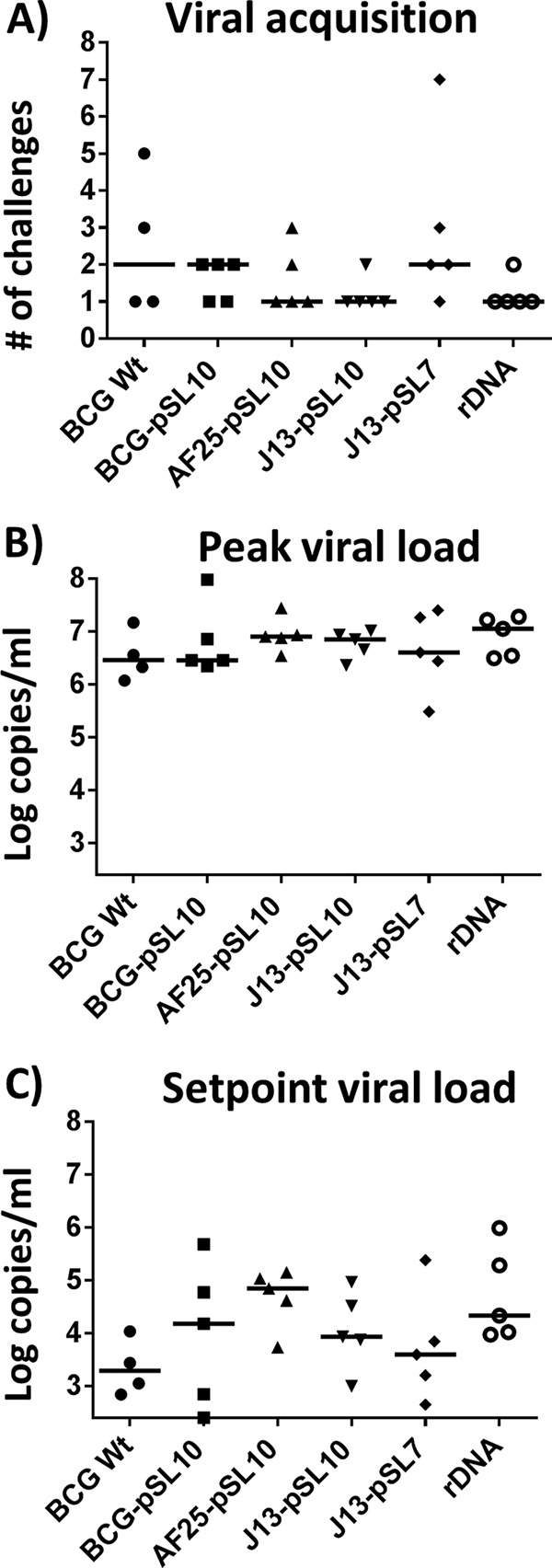 FIG 6