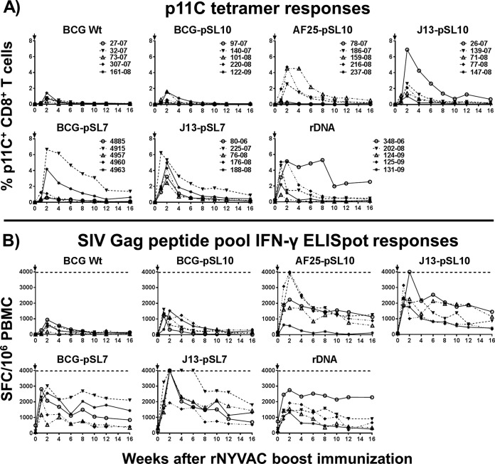 FIG 3