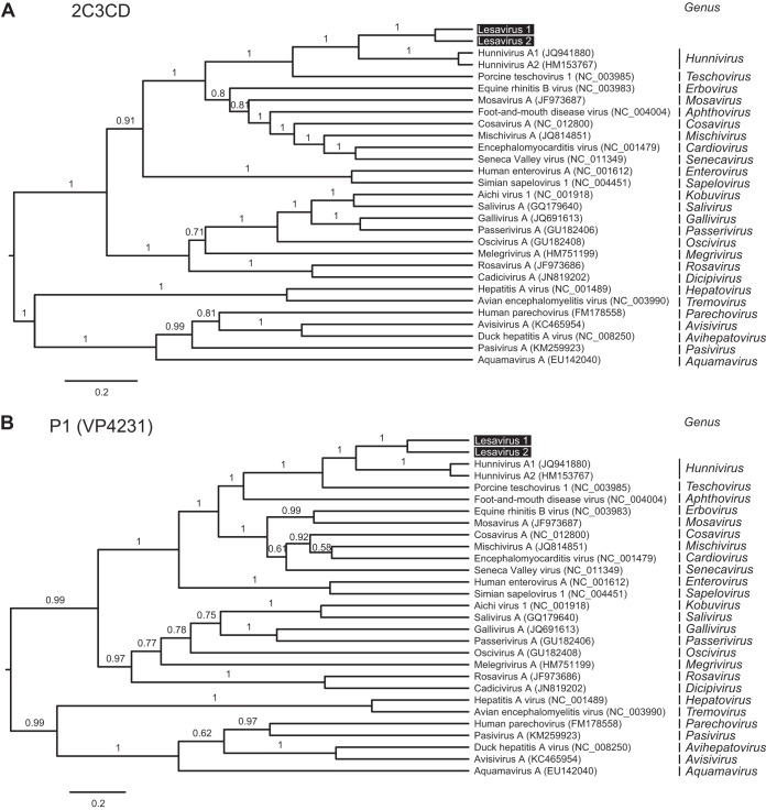 FIG 2