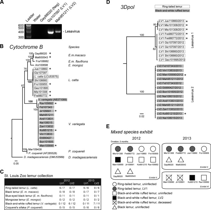 FIG 3