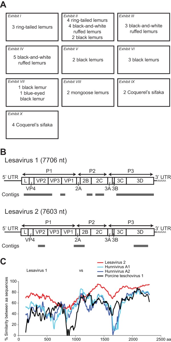 FIG 1