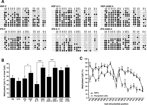 Figure 2.