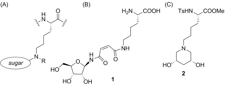 Fig 1