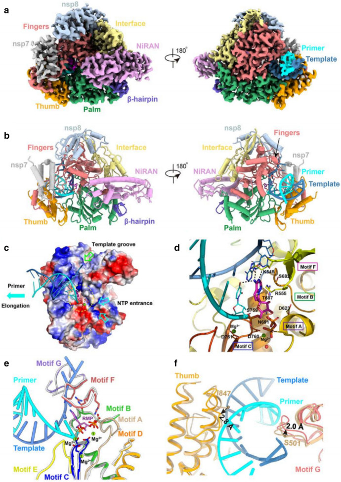 Fig. 23