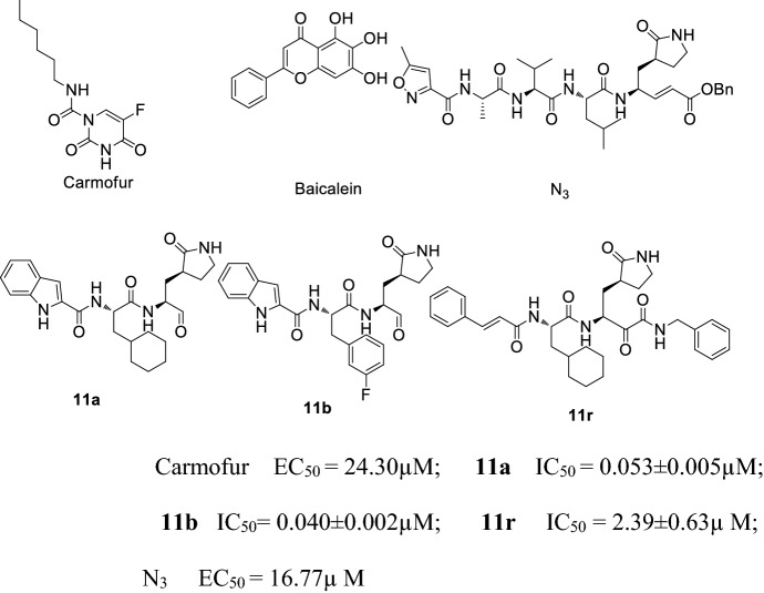 Fig. 10