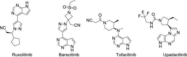 Fig. 12