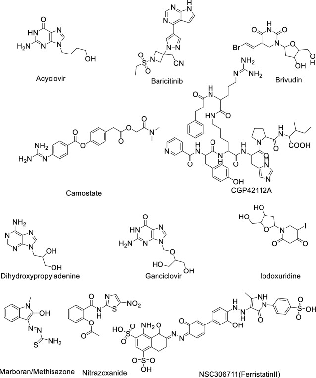 Fig. 7