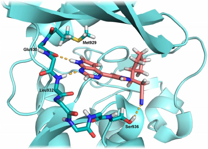 Fig. 24