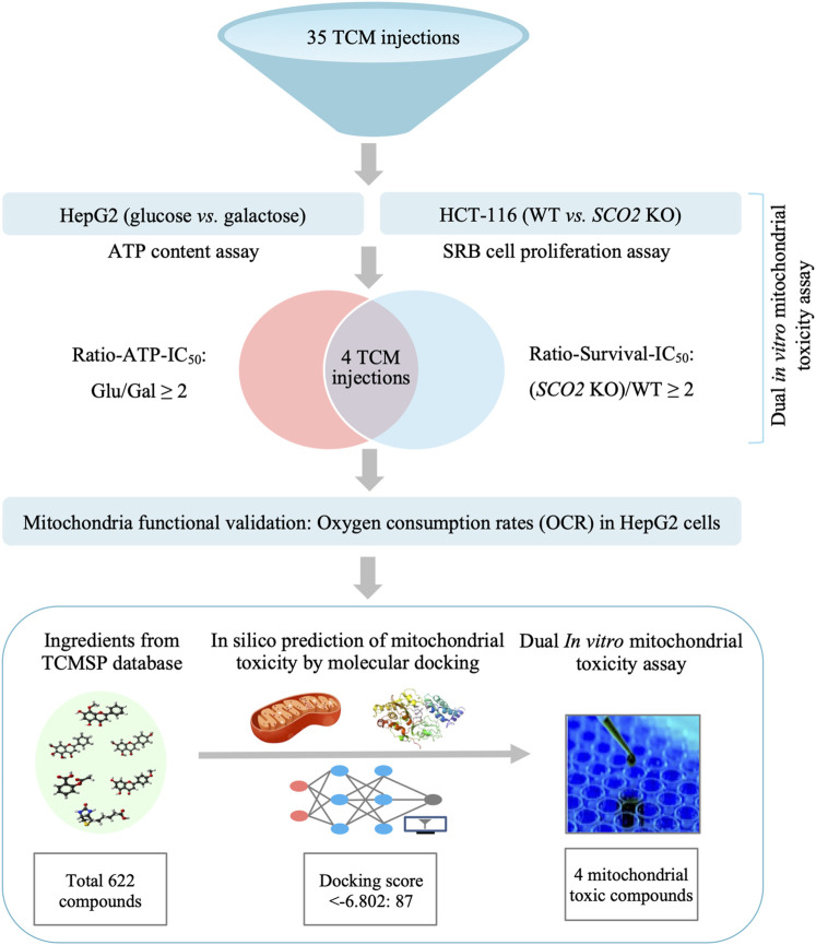 graphic file with name FPHAR_fphar-2022-1039235_wc_abs.jpg