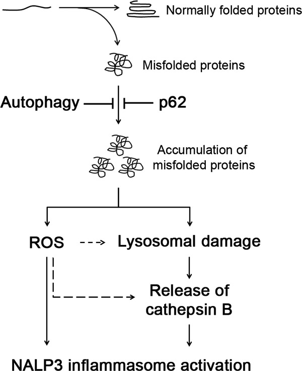 FIGURE 9.