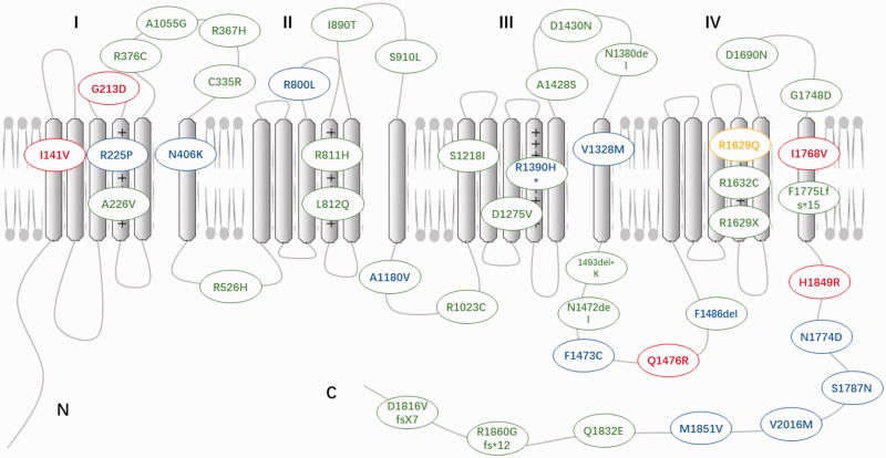 Figure 1.