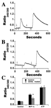FIG. 9