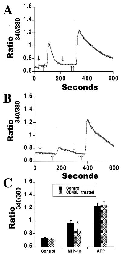 FIG. 9