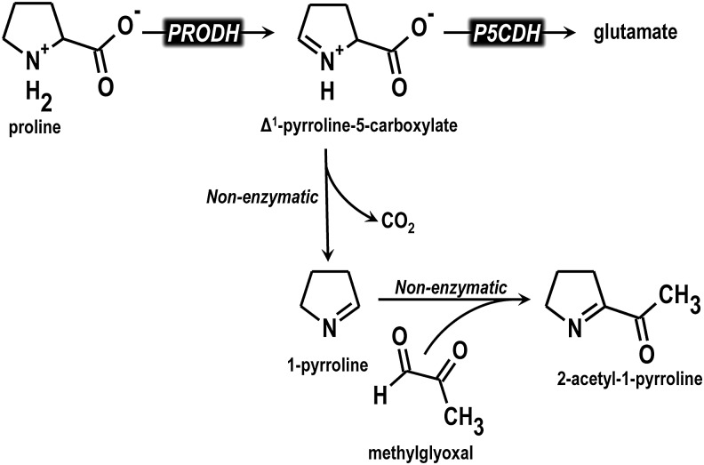 FIG. 9.