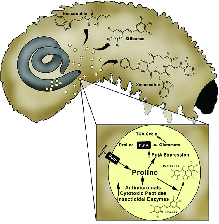 FIG. 8.