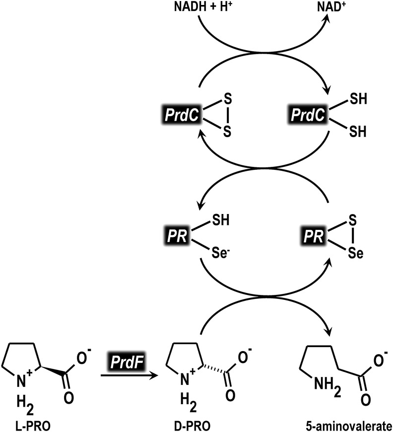 FIG. 10.