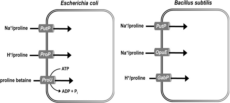 FIG. 7.