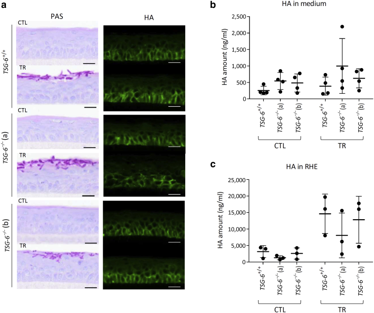 Figure 12