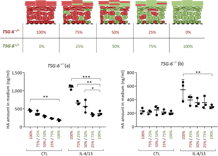 Figure 13