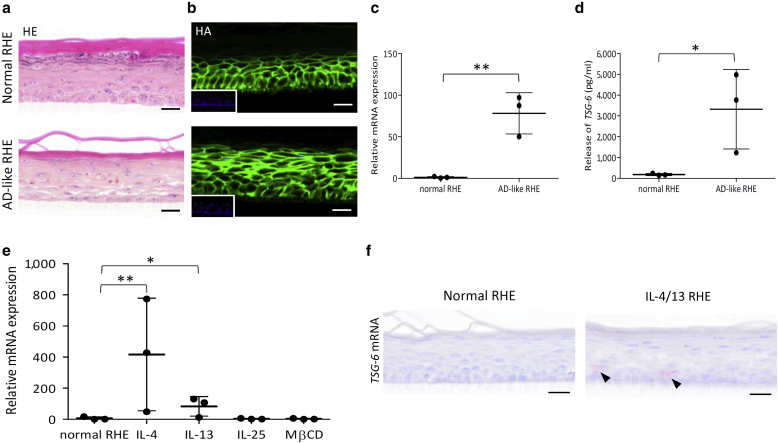 Figure 2