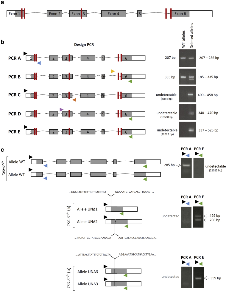 Figure 5