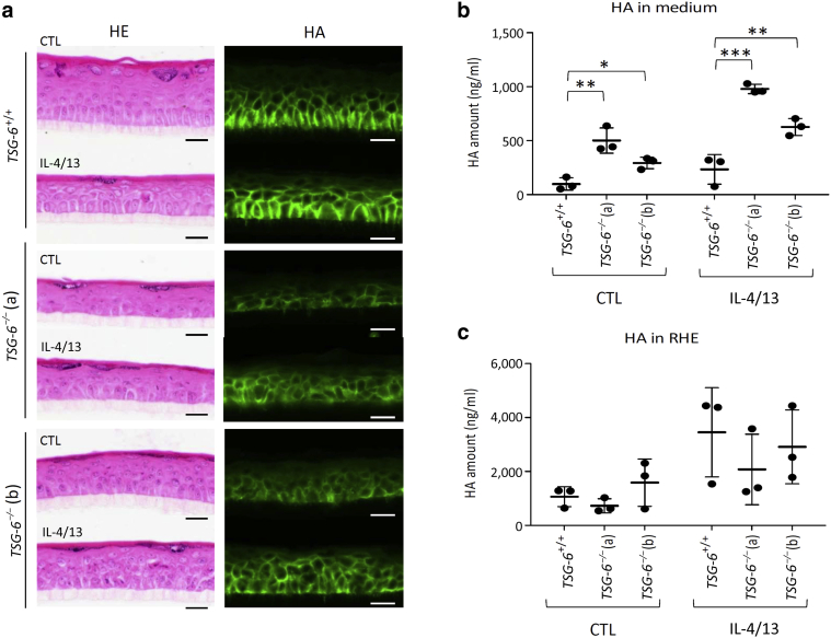 Figure 11