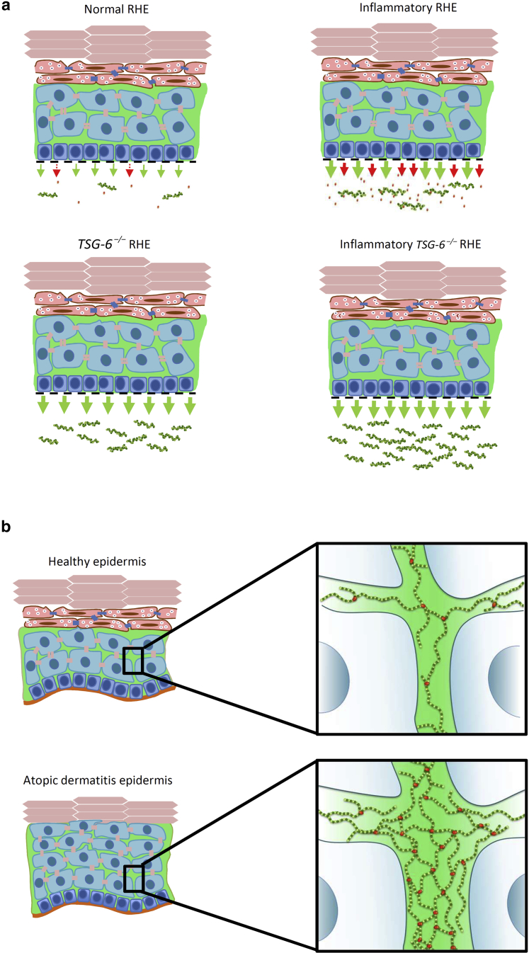 Figure 15