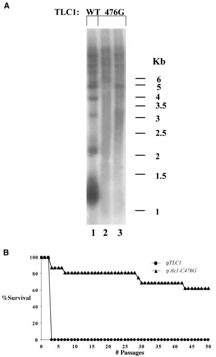 FIG. 5.