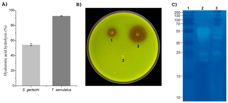 Figure 9