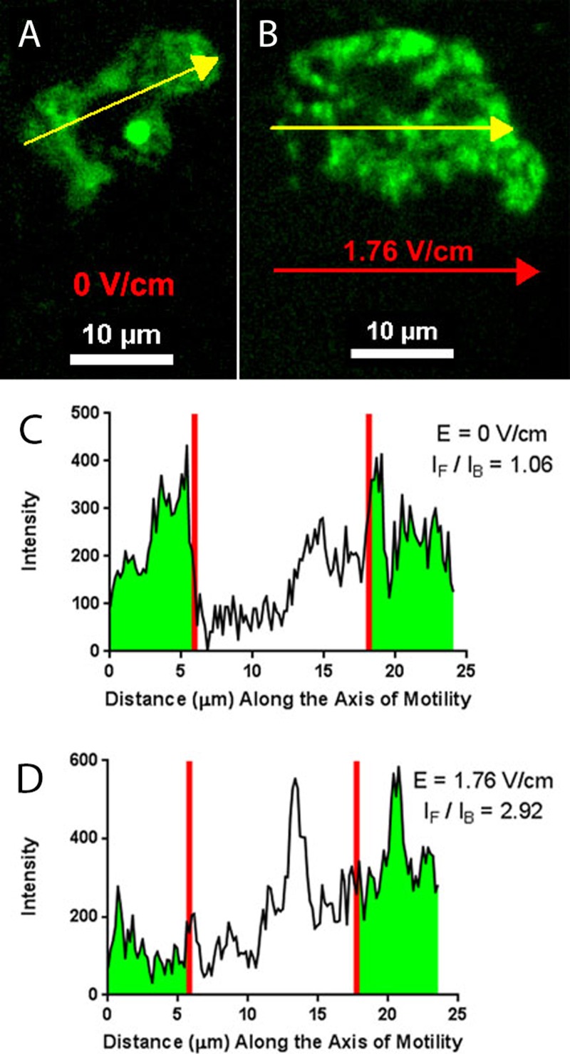 FIG. 4.