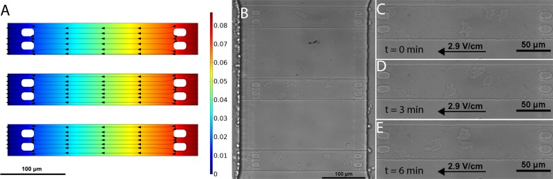 FIG. 2.