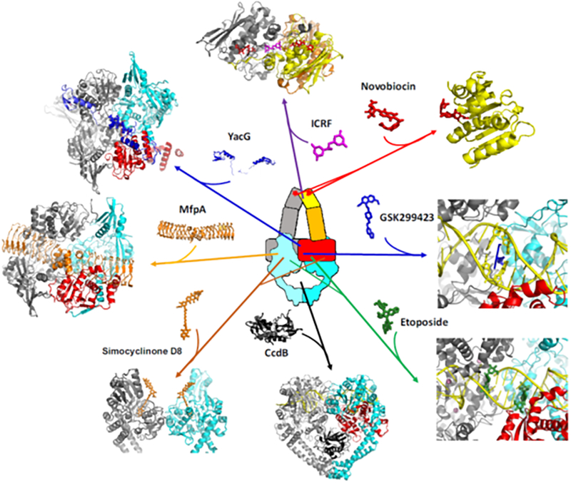 Figure 4.