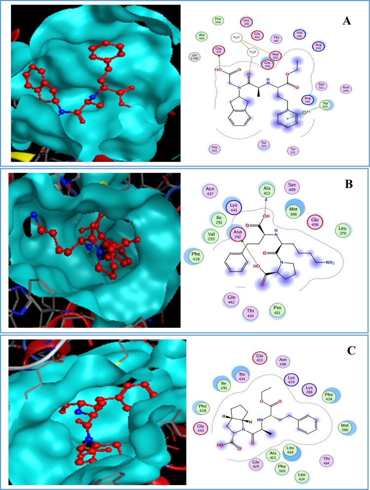 Figure 11.