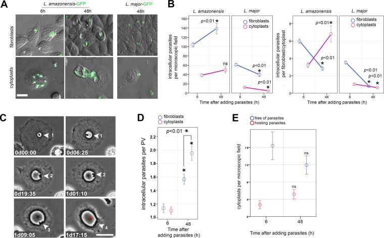 FIG 3