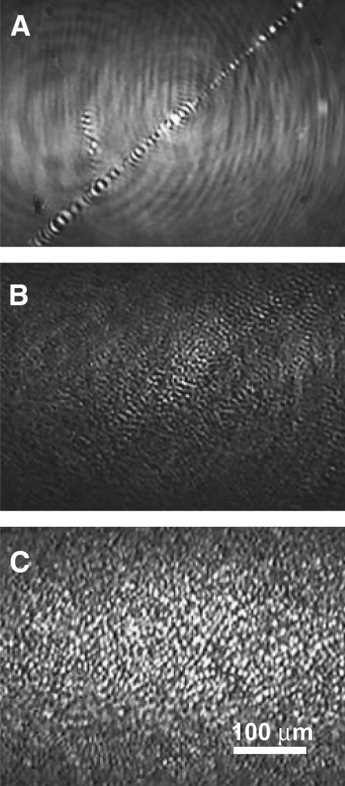 FIGURE 3