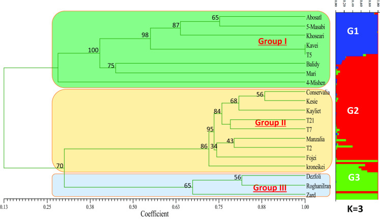 Fig. 2