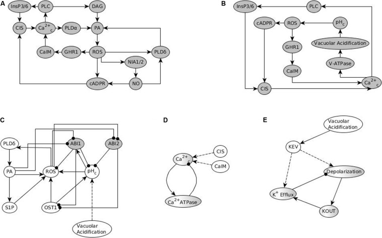 FIGURE 2