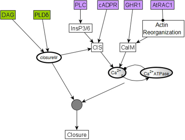 FIGURE 10