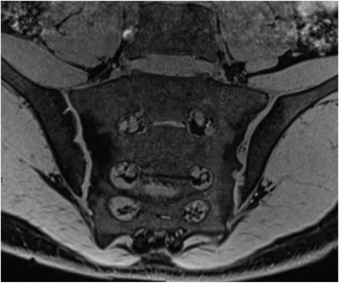 Fig. 10