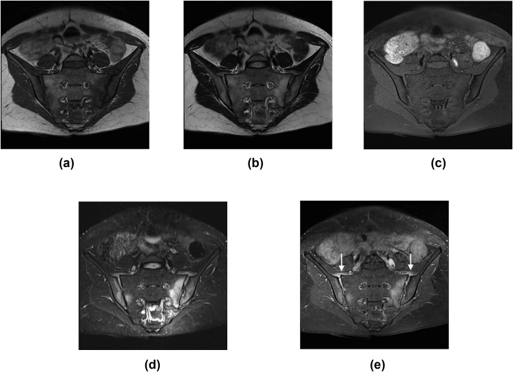 Fig. 1