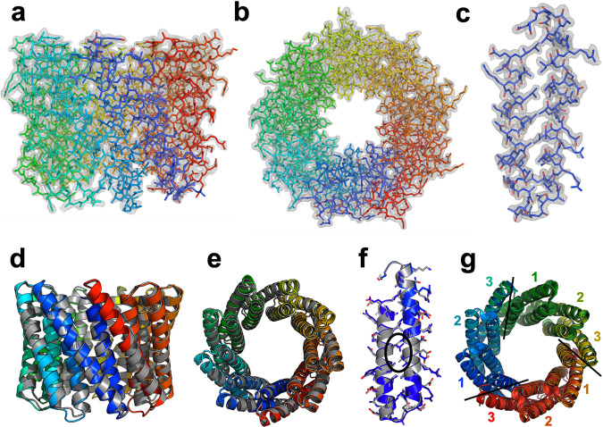 Fig. 4