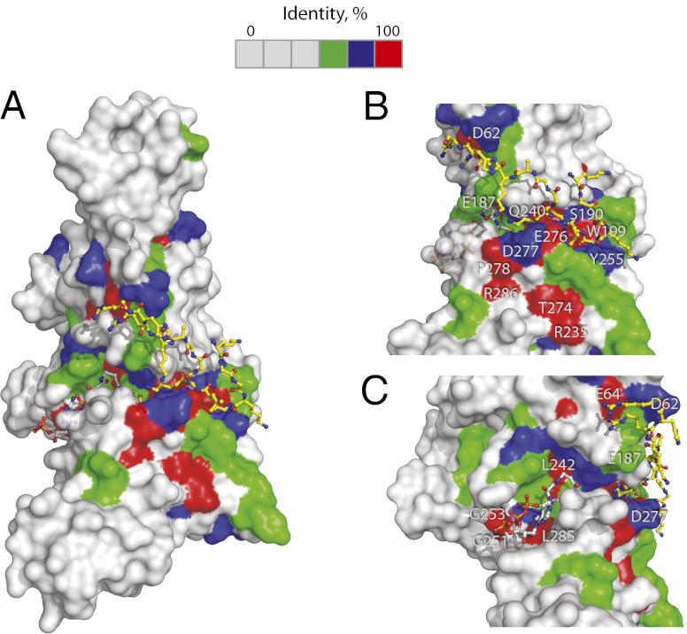 Fig. 4.