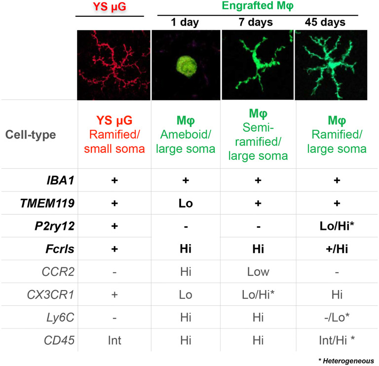 Figure 6.