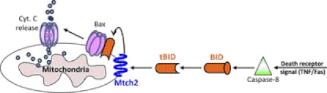 FIGURE 1.