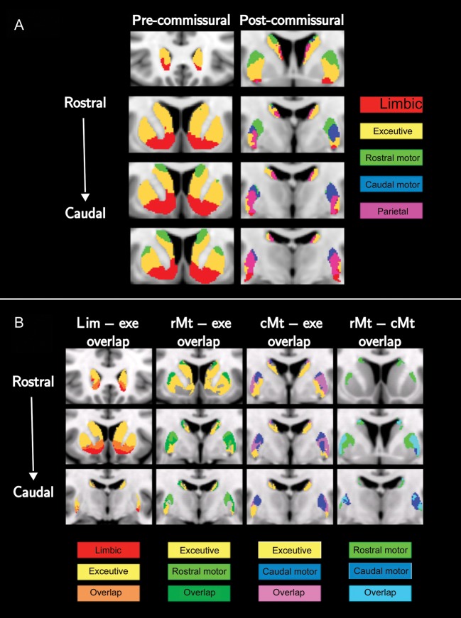 Figure 3.