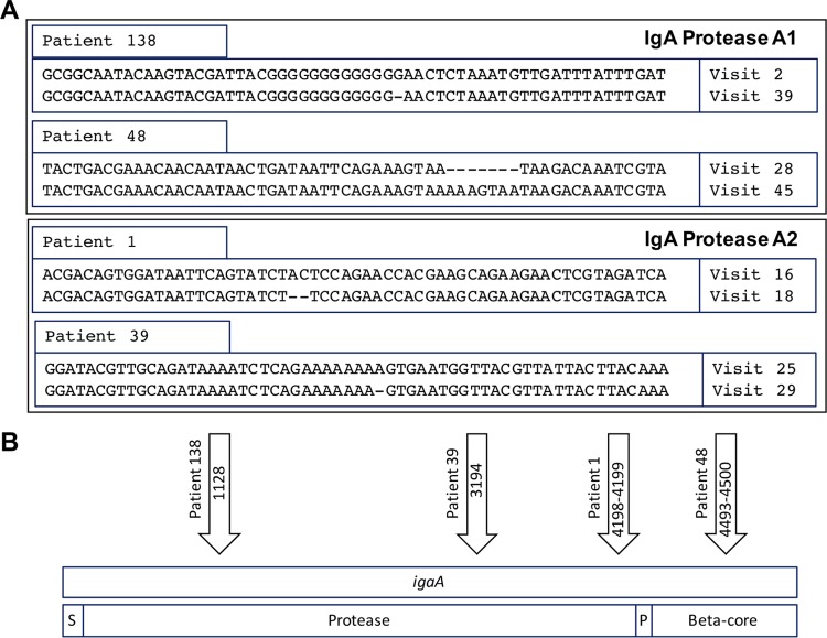 FIG 3