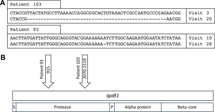 FIG 5